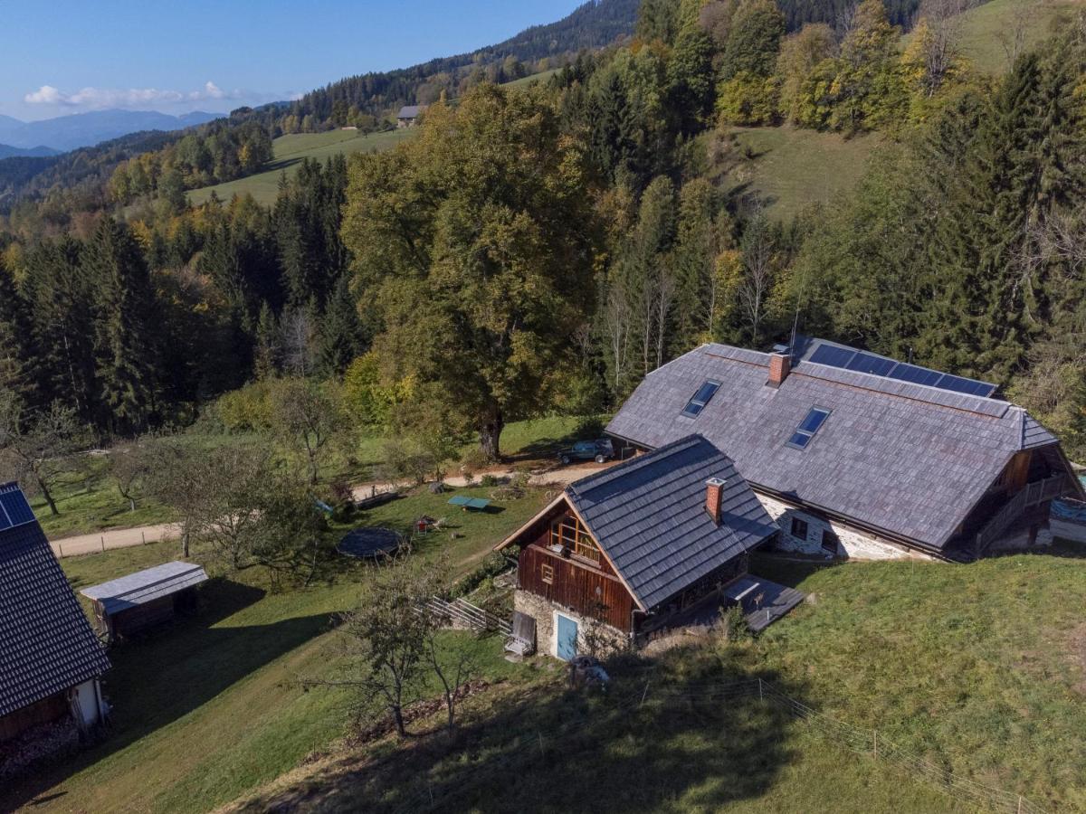 Charmante Gaestewohnung In Altem Bauernhaus In Alpiner Alleinlage Stanz Im Murztal Eksteriør bilde