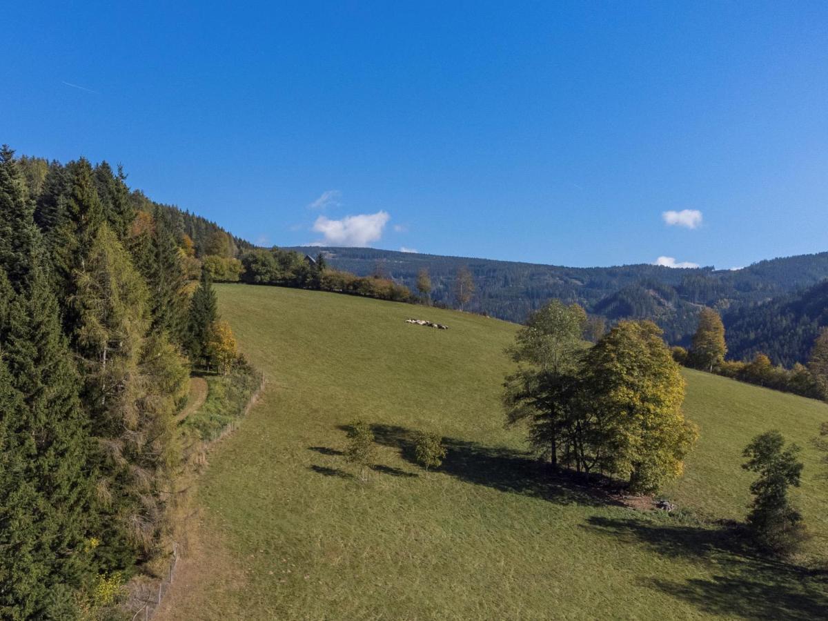 Charmante Gaestewohnung In Altem Bauernhaus In Alpiner Alleinlage Stanz Im Murztal Eksteriør bilde